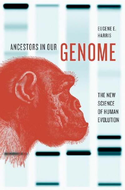 Ancestors in Our Genome