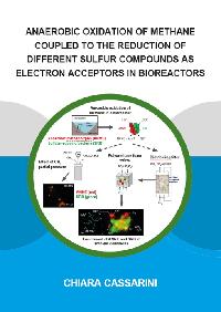Anaerobic Oxidation of Methane Coupled to the Reduction of Different Sulfur Compounds as Electron Acceptors in Bioreactors by Cassarini, Chiara
