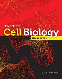 Principles of Cell Biology by Plopper, George