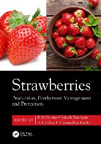 Strawberries by Pandey, Vikramaditya/Dubey, A K/Yamdagni, Rakesh