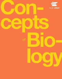Concepts of Biology by Fowler, Samantha/Roush, Rebecca/Wise, James