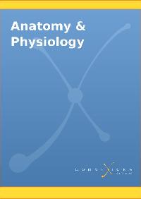 Anatomy & Physiology by Betts, J Gordon